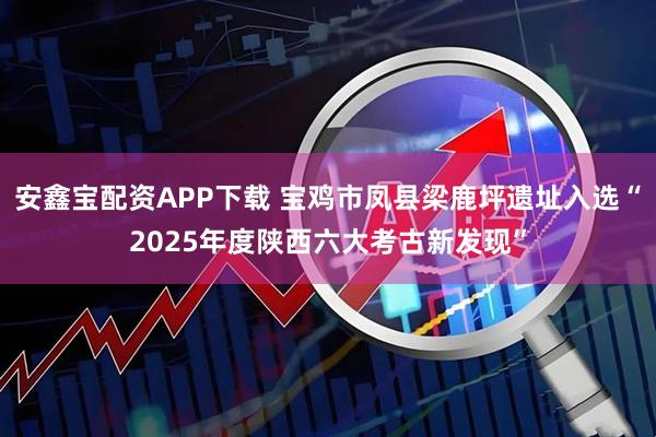 安鑫宝配资APP下载 宝鸡市凤县梁鹿坪遗址入选“2025年度陕西六大考古新发现”